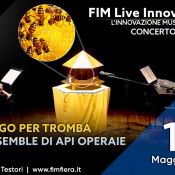 ARNIA at the 7th FIM - exhibition of education and musical innovation